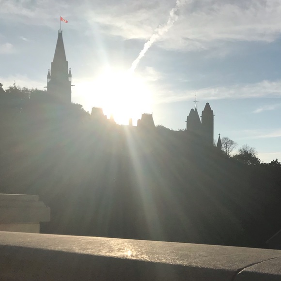 Meet your Posher, Chloe - Picture 1 of 1